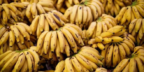 ७१८ थरी तरकारी र फलफूलको नमुना परीक्षणः केरामा विषादीको मात्रा दोब्बर 